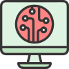 Software Developer